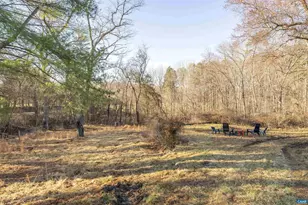 3822 Watts Passage, Charlottesville, VA 22911 - Photo 16