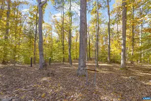 9130 Totier Creek Rd, Scottsville, VA 24590 - Photo 68