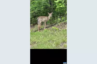 1494 Spruce Creek Ln, Nellysford, VA 22958 - Photo 36