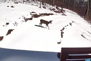 1494 Spruce Creek Ln, Nellysford, VA 22958 - Photo 34