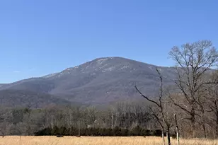 1494 Spruce Creek Ln, Nellysford, VA 22958 - Photo 4