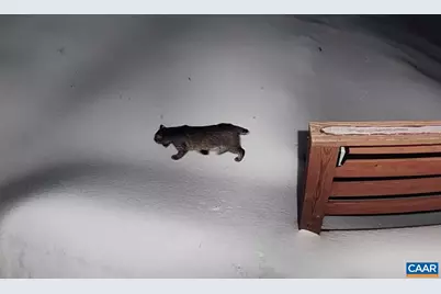 1494 Spruce Creek Ln, Nellysford, VA 22958 - Photo 30