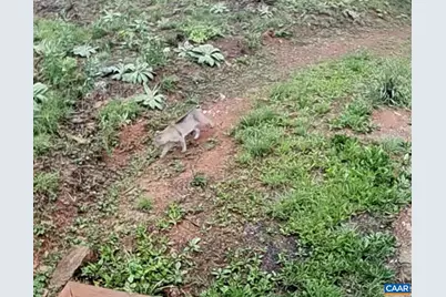 1494 Spruce Creek Ln, Nellysford, VA 22958 - Photo 32