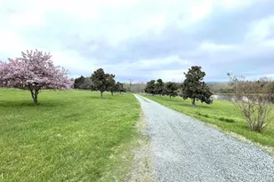 4437 Richmond Rd, Keswick, VA 22947 - Photo 22