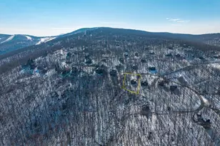 131 Crawfords Edge, Wintergreen, VA 22967 - Photo 68