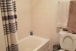 813 Rainier Rd, Charlottesville, VA 22903 - Photo 8