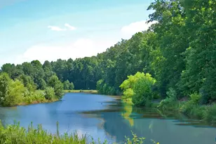 530 Pebble Hill Ct, Charlottesville, VA 22903 - Photo 36