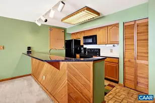 1551 Vistas Condos, Roseland, VA 22967 - Photo 4