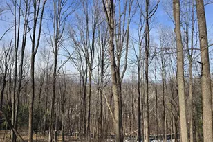 1880 N Pantops Dr, Charlottesville, VA 22911 - Photo 74