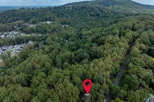 1880 N Pantops Dr, Charlottesville, VA 22911 - Photo 66