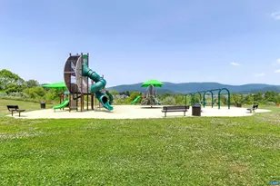 324 Bishopgate Ln, Crozet, VA 22932 - Photo 44