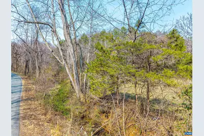 Puppy Creek Rd, Amherst, VA 24521 - Photo 4