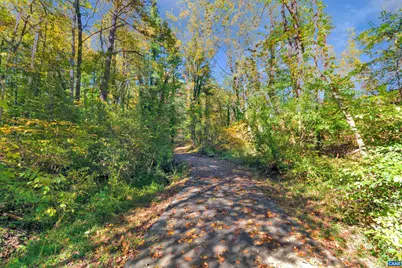 820 Fieldhaven Dr, Charlottesville, VA 22903 - Photo 52