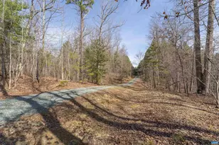 2508 Thomas Jefferson Pkwy, Charlottesville, VA 22902 - Photo 54