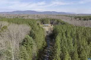 2508 Thomas Jefferson Pkwy, Charlottesville, VA 22902 - Photo 56