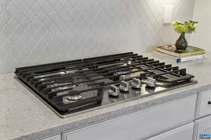 314 Avondale Ln, Crozet, VA 22932 - Photo 44