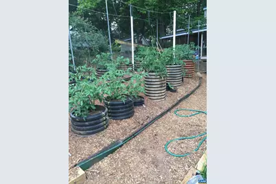 5864 Wyant Ln, Charlottesville, VA 22903 - Photo 46