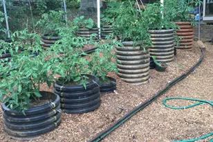 5864 Wyant Ln, Charlottesville, VA 22903 - Photo 46