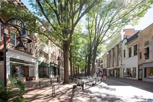 1104 Forest Hills Ave, Charlottesville, VA 22903 - Photo 34