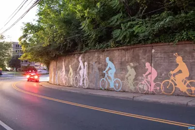 1104 Forest Hills Ave, Charlottesville, VA 22903 - Photo 36