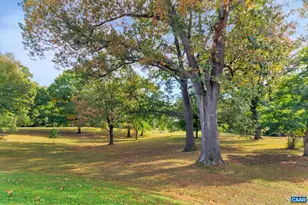 1104 Forest Hills Ave, Charlottesville, VA 22903 - Photo 30