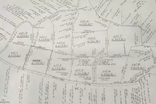 241 Truslows Ln, Nellysford, VA 22958 - Photo 62