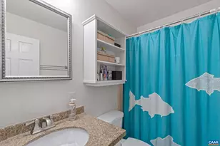 1721 Solomon Rd, Charlottesville, VA 22901 - Photo 14