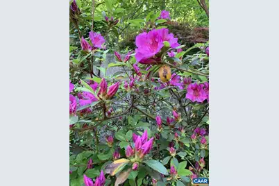 317 Poplar Glen Ct, Charlottesville, VA 22903 - Photo 30