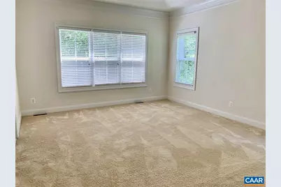 317 Poplar Glen Ct, Charlottesville, VA 22903 - Photo 12