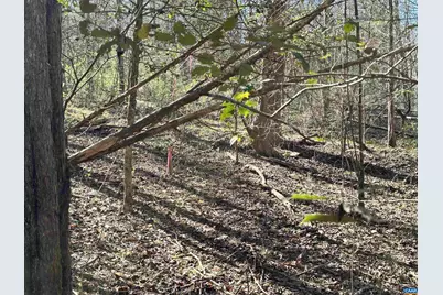 00 Indian Trace Trl #12, Unionville, VA 22567 - Photo 8