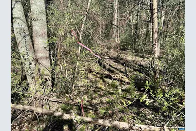 00 Indian Trace Trl #12, Unionville, VA 22567 - Photo 10