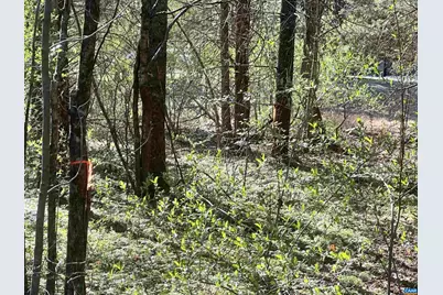 00 Indian Trace Trl #12, Unionville, VA 22567 - Photo 12
