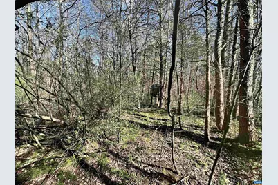 00 Indian Trace Trl #12, Unionville, VA 22567 - Photo 4