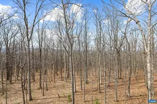 3006 Anoko Ct, Charlottesville, VA 22902 - Photo 46