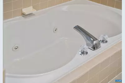 240 Homestead Ln, Charlottesville, VA 22902 - Photo 20