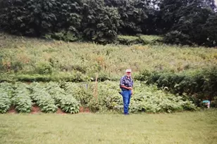 1821 Red Top Orchard Rd, Waynesboro, VA 22980 - Photo 56