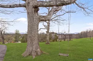 1777 Lambs Rd, Charlottesville, VA 22901 - Photo 48