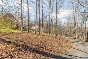 3655 Raleigh Mountain Trail, Charlottesville, VA 22901 - Photo 48