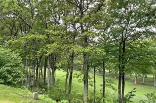 2052 Stone Ridge Condos, Wintergreen, VA 22967 - Photo 4