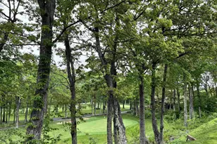 2052 Stone Ridge Condos, Wintergreen, VA 22967 - Photo 6