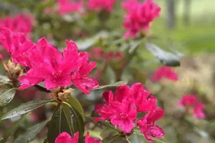 2052 Stone Ridge Condos, Wintergreen, VA 22967 - Photo 8