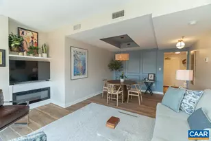 250 W Main St, Charlottesville, VA 22902 - Photo 24