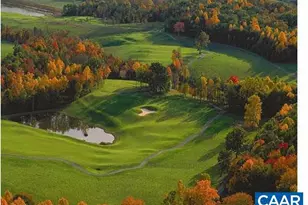 3606 Osprey Dr, Keswick, VA 22947 - Photo 54