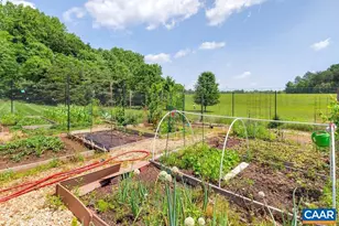 2047 Acorn Hill Ct, Charlottesville, VA 22911 - Photo 48