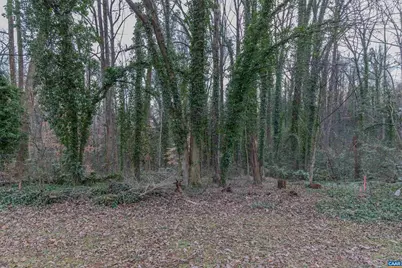 202 Raymond Ave #13, Charlottesville, VA 22903 - Photo 14