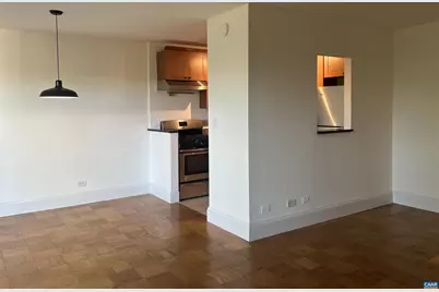 511 N 1st St #203, Charlottesville, VA 22902 - Photo 8