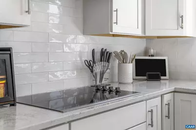 2604 Flora View Dr, Charlottesville, VA 22902 - Photo 16