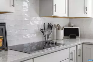 2604 Flora Vw Dr, Charlottesville, VA 22902 - Photo 16