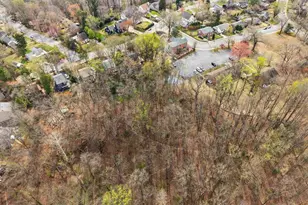 1213 Cutler Ln, Charlottesville, VA 22901 - Photo 16