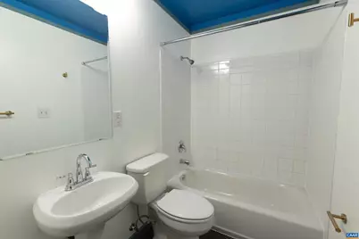 1213 Cutler Ln, Charlottesville, VA 22901 - Photo 42